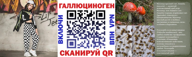 Галлюциногенные грибы Psilocybe  Жирновск 